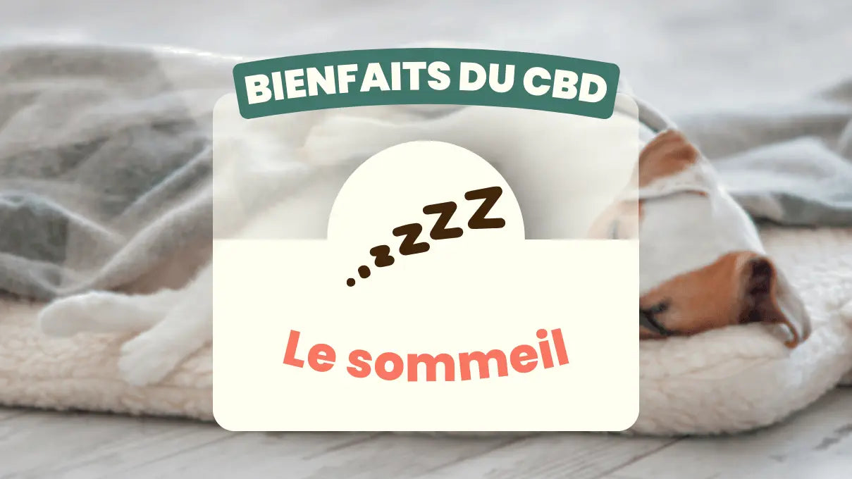 Bienfaits-du-CBD-le-sommeil Friend'iz