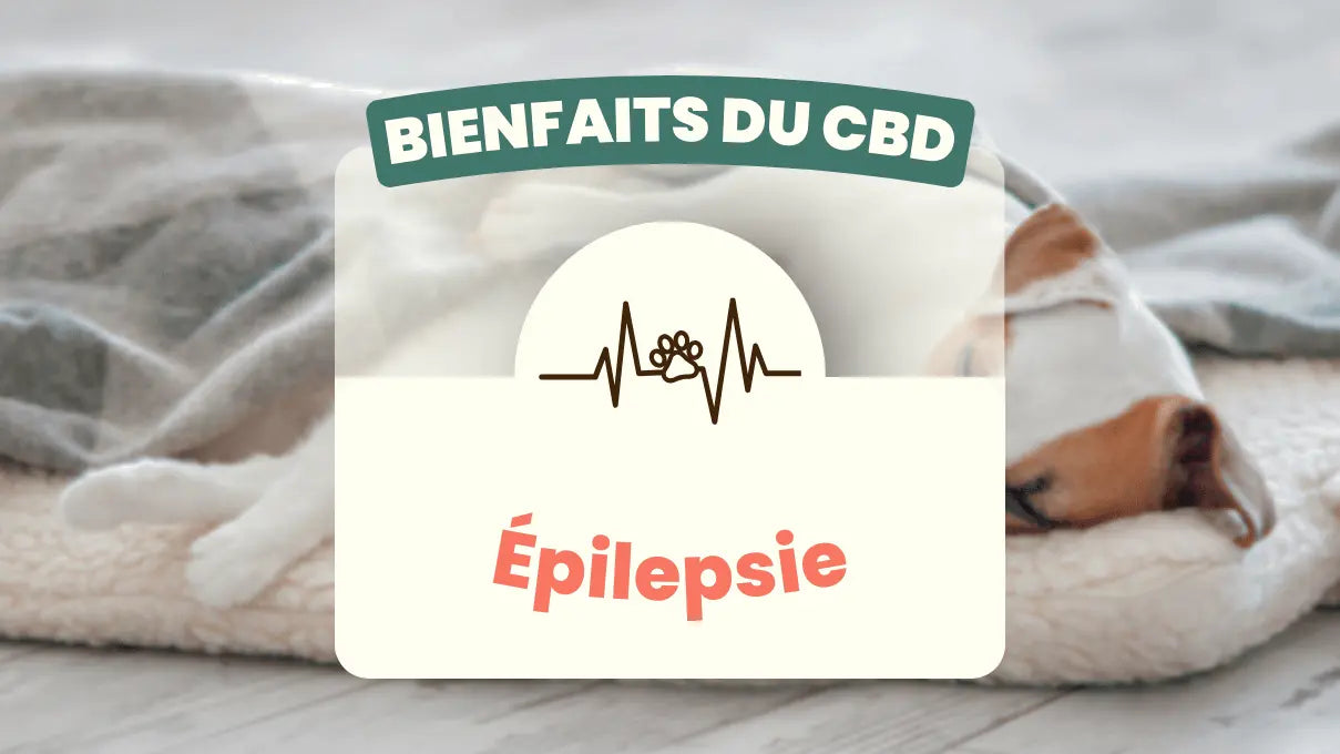 Bienfaits-du-CBD-l-épilepsie Friend'iz