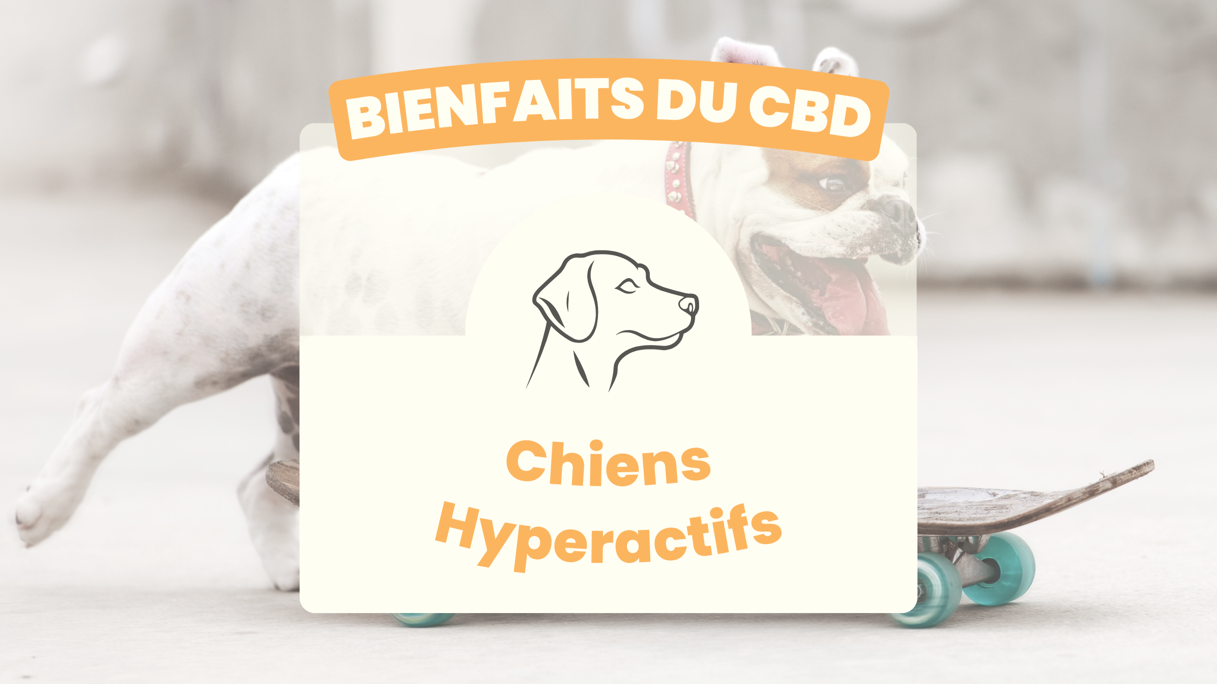 Bienfaits du CBD : Hyperactivité